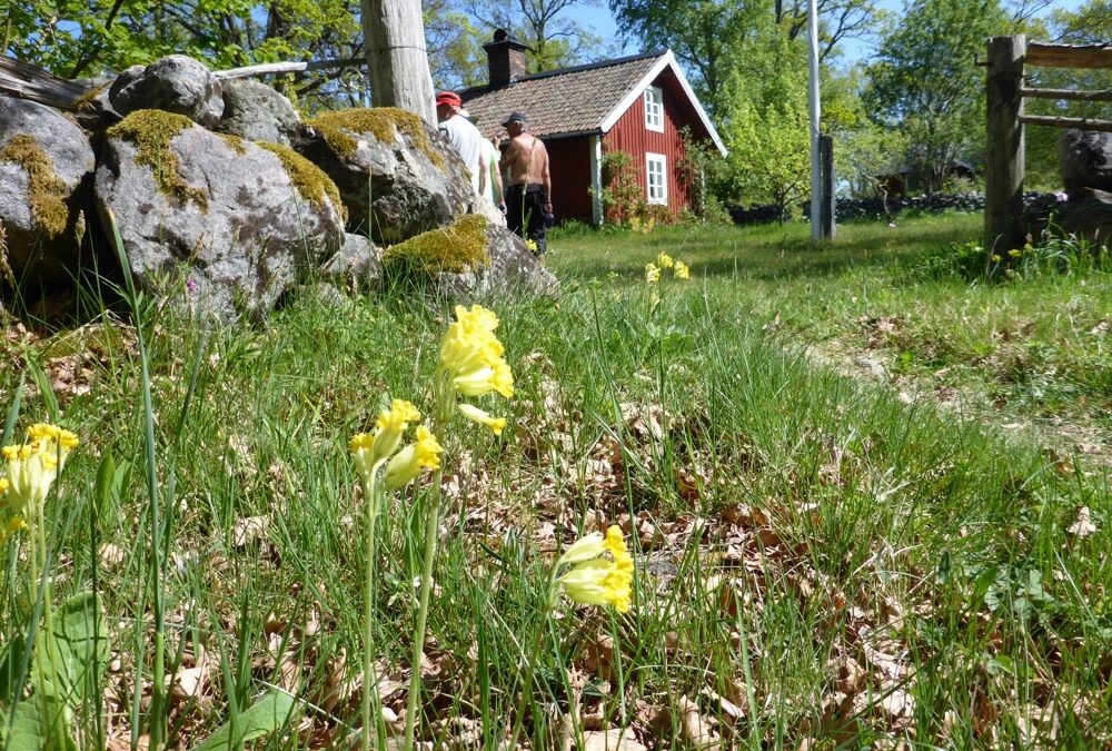 13-15 maj, Gryts skärgård med besök på Den vackraste ön – Grönsö